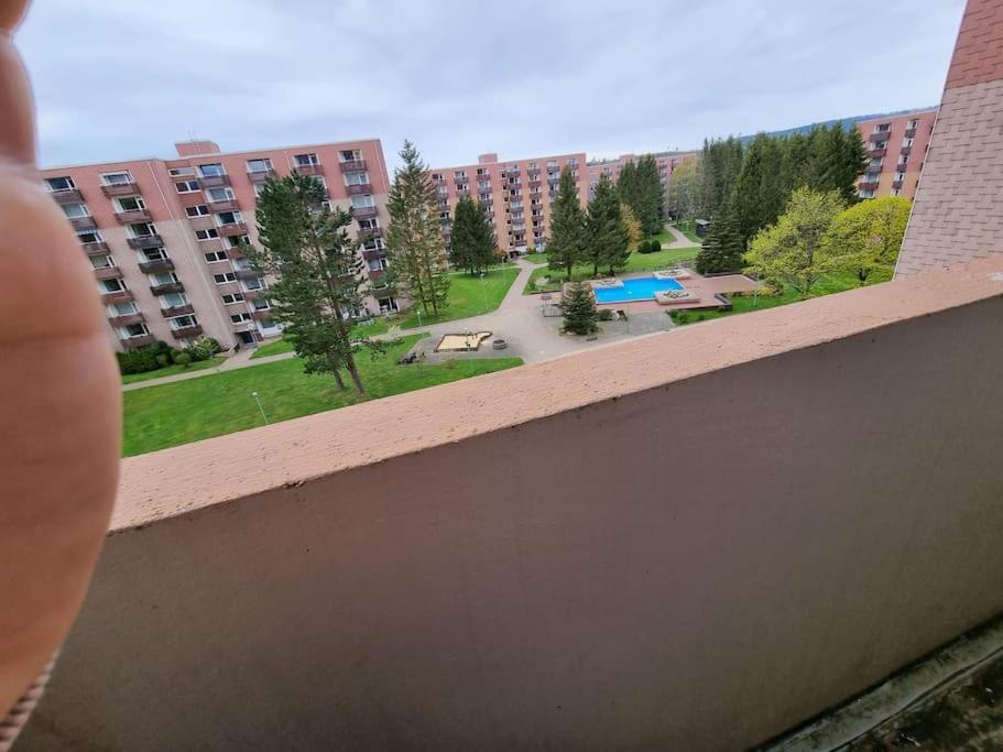 Ferienwohnung Altenau Im Harz, Hunde Kültér fotó