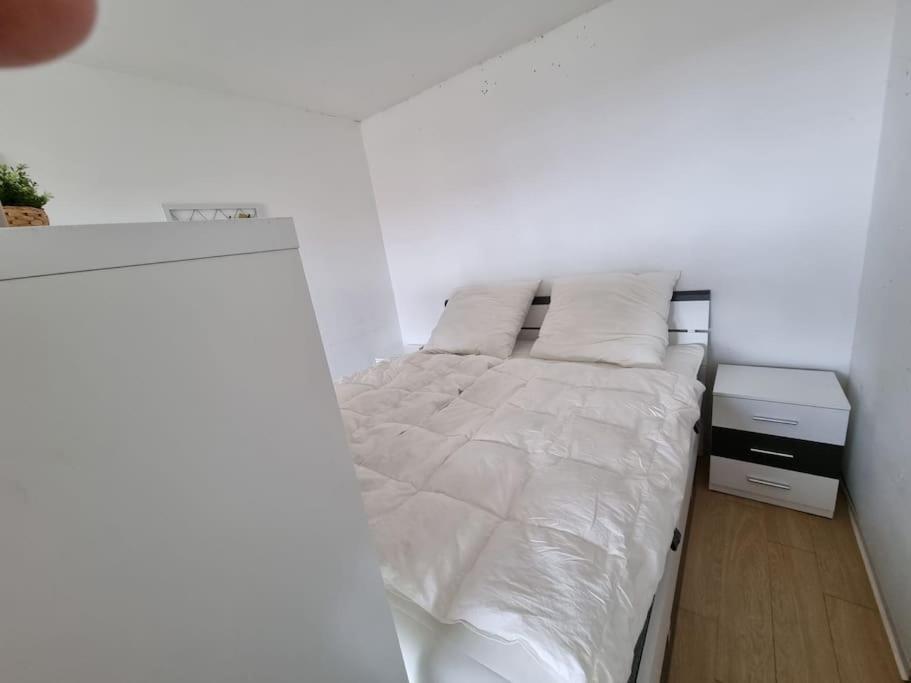 Ferienwohnung Altenau Im Harz, Hunde Kültér fotó